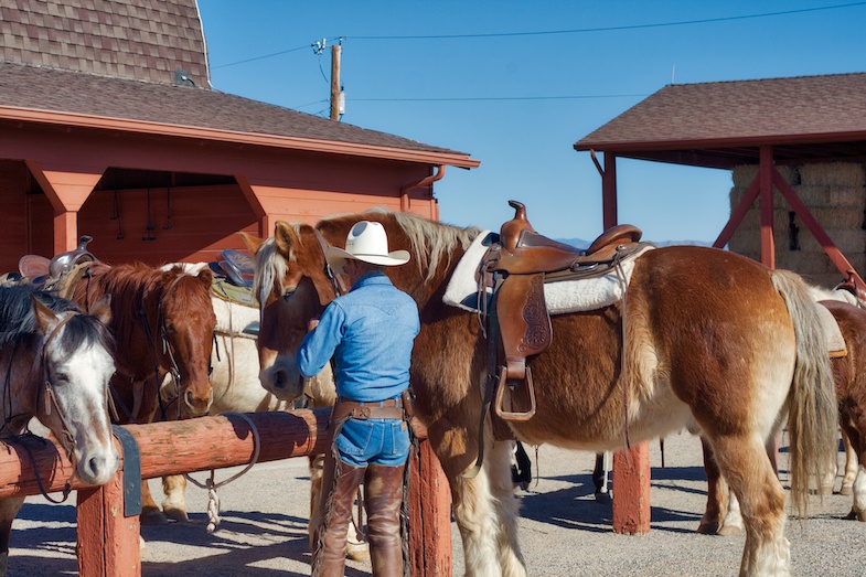 Flying E Dude Ranch wrangler with horses in Wickenburg Arizona - Photo by Mike Shubic of MikesRoadTrip.com