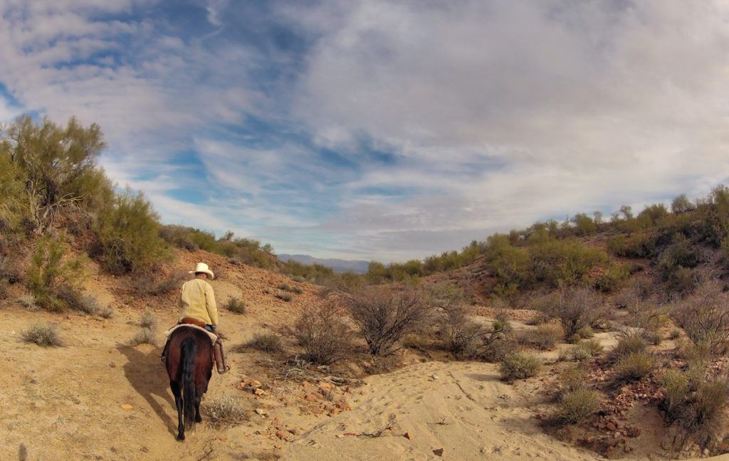 Wrangerl at Flying E Dude Ranch in Wickenburg Arizona