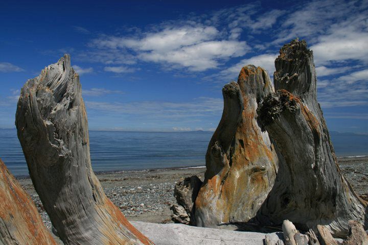 Dungeness Spit in the Olympic Peninsula - Photo by: Mike Shubic of MikesRoadTrip.com