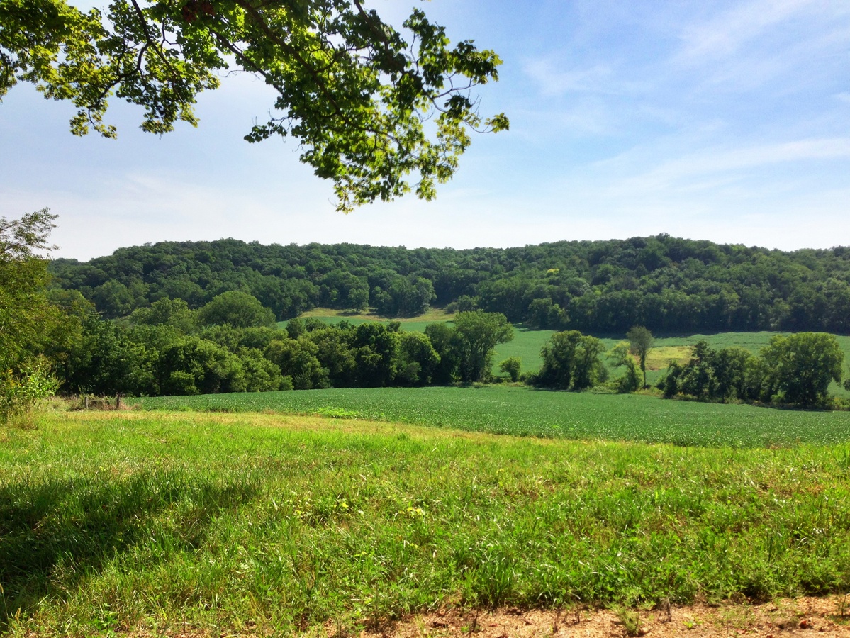 Rolling hills near Galena IL by MikesRoadTrip.com