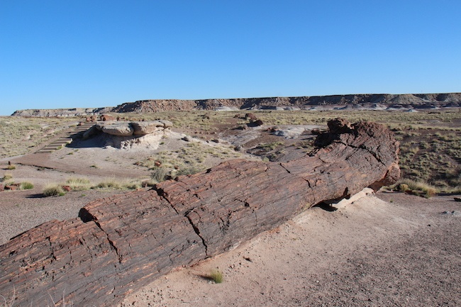 Petrified Forest in northeastern Arizona