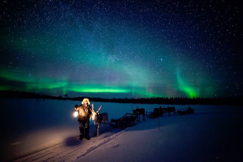 finland northern lights with raindeer 