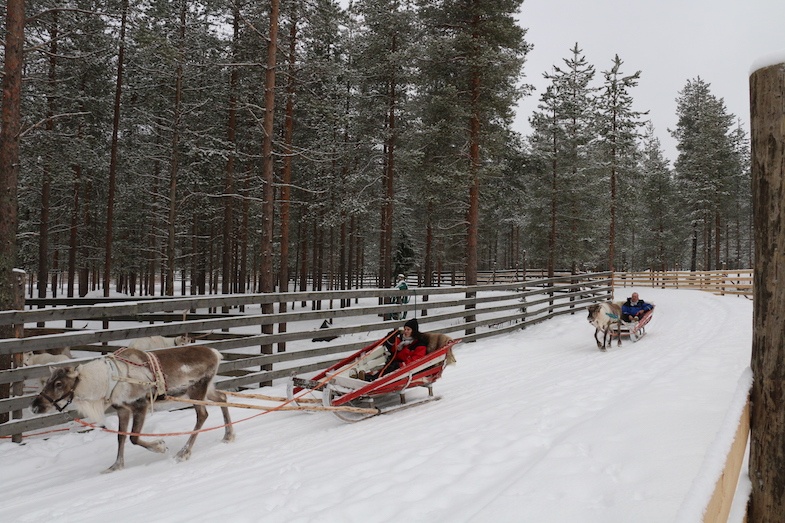 Raindee sleigh ride by MikesRoadTrip.com