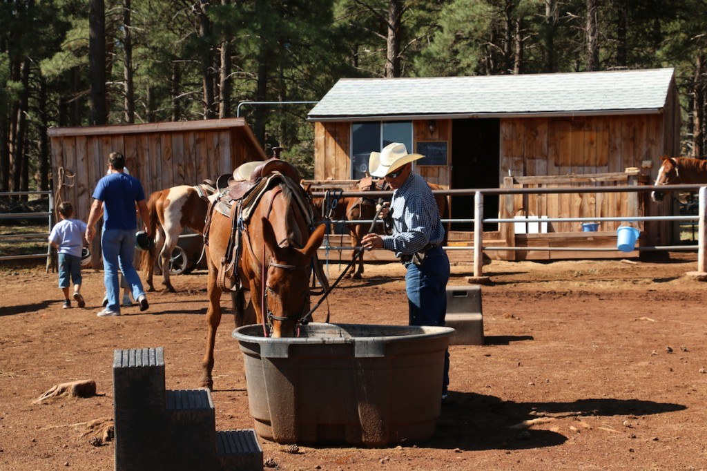 Horse stables at Mountain Ranch Resort