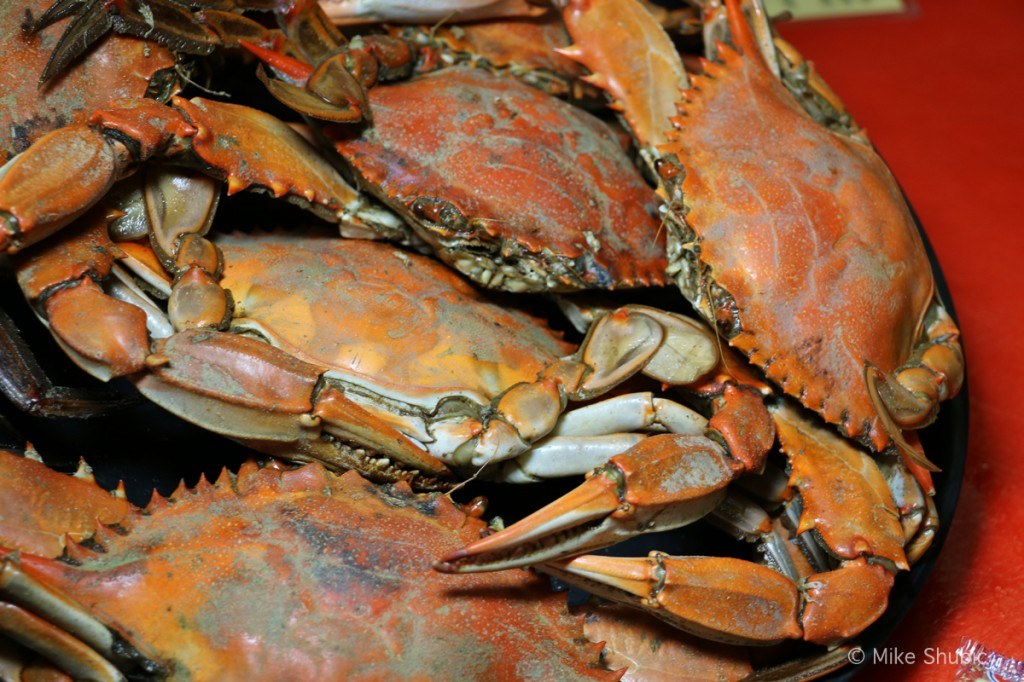 Fresh Louisiana Crab