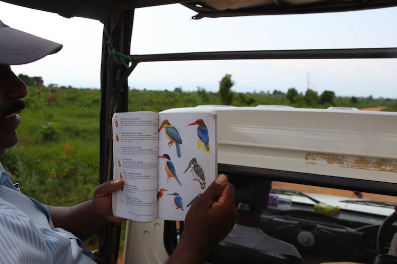 Birdwatching in Sri Lanka Photo Courtesy of: Paul Keller 