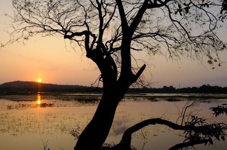 Sri Lanka - Photo by: Jean-Louis Potier