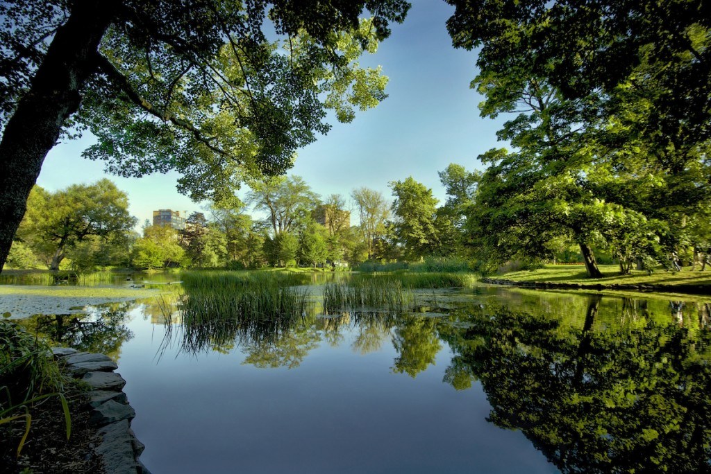 Halifax - Public Gardens - pond