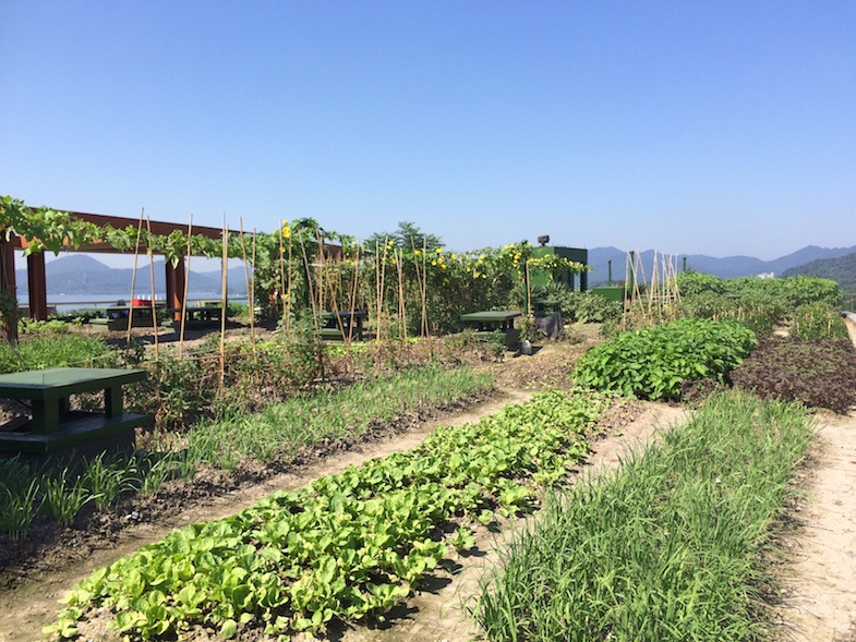 Rooftop garden at the Wyndham Grand in Hangzou by MikesRoadTrip.com