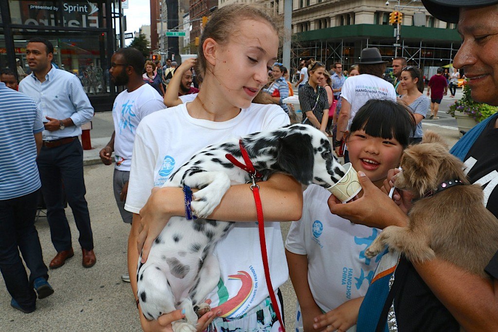 Dogs like ice cream too