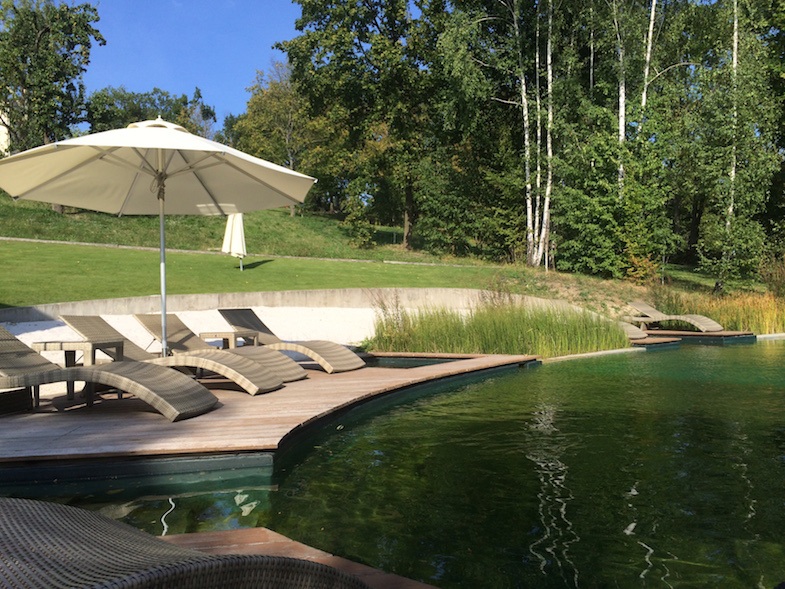 Nataural Pool at Chateau Mcely