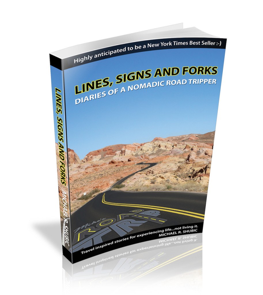 Lines, Signs & Forks book cover