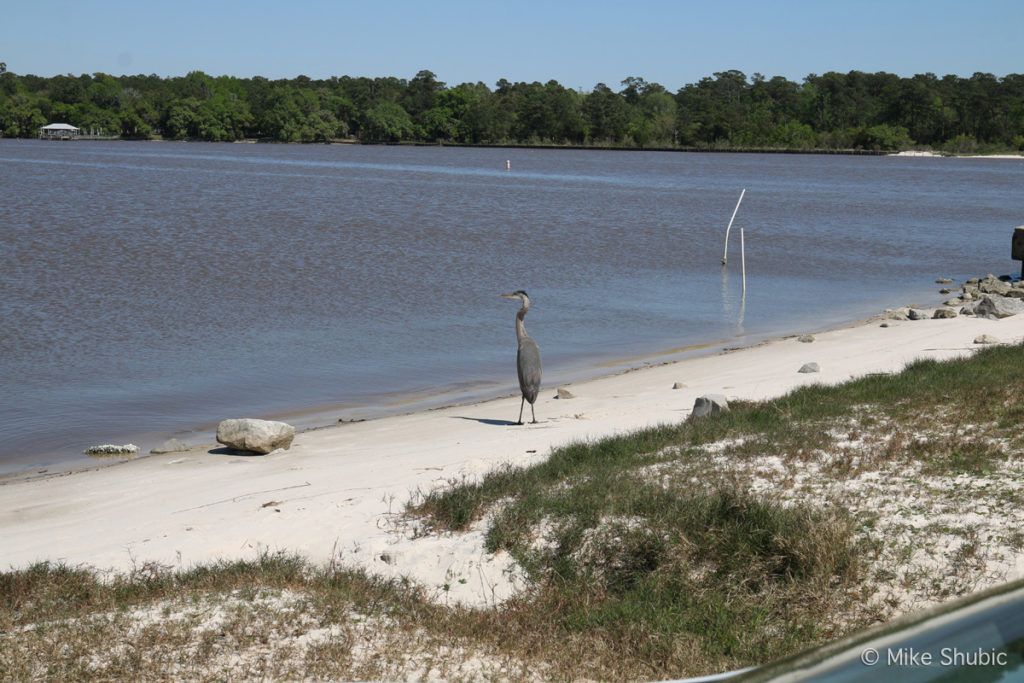 Weeks Bay Reserve in Point Clear Alabama by MikesRoadTrip.com