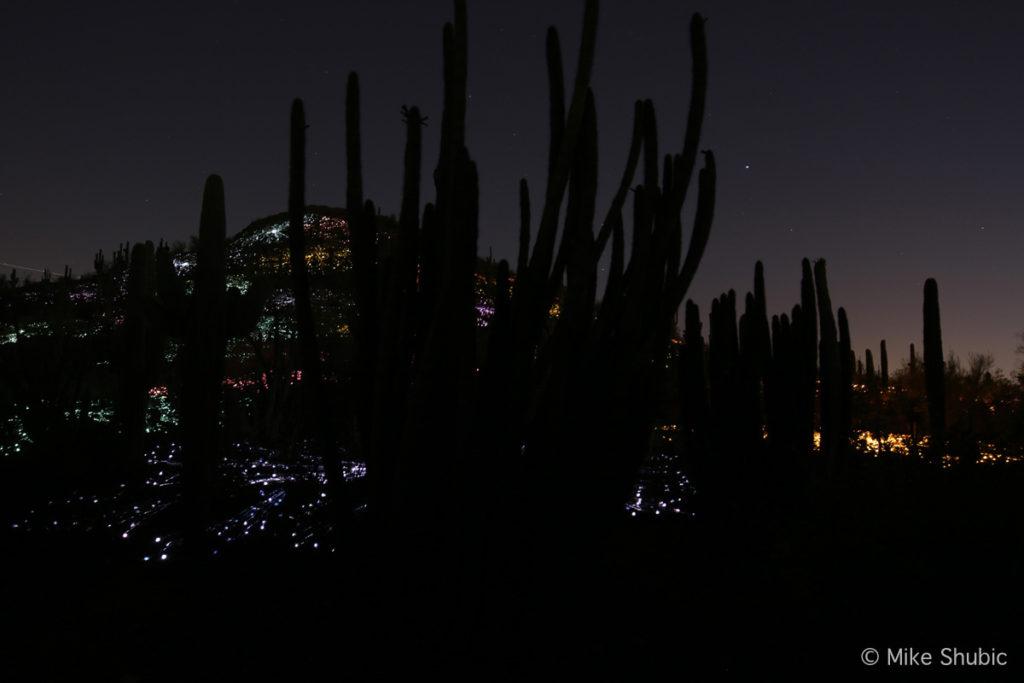 Field of Light by Bruce Munro at DBG Phoenix by MikesRoadTrip.com