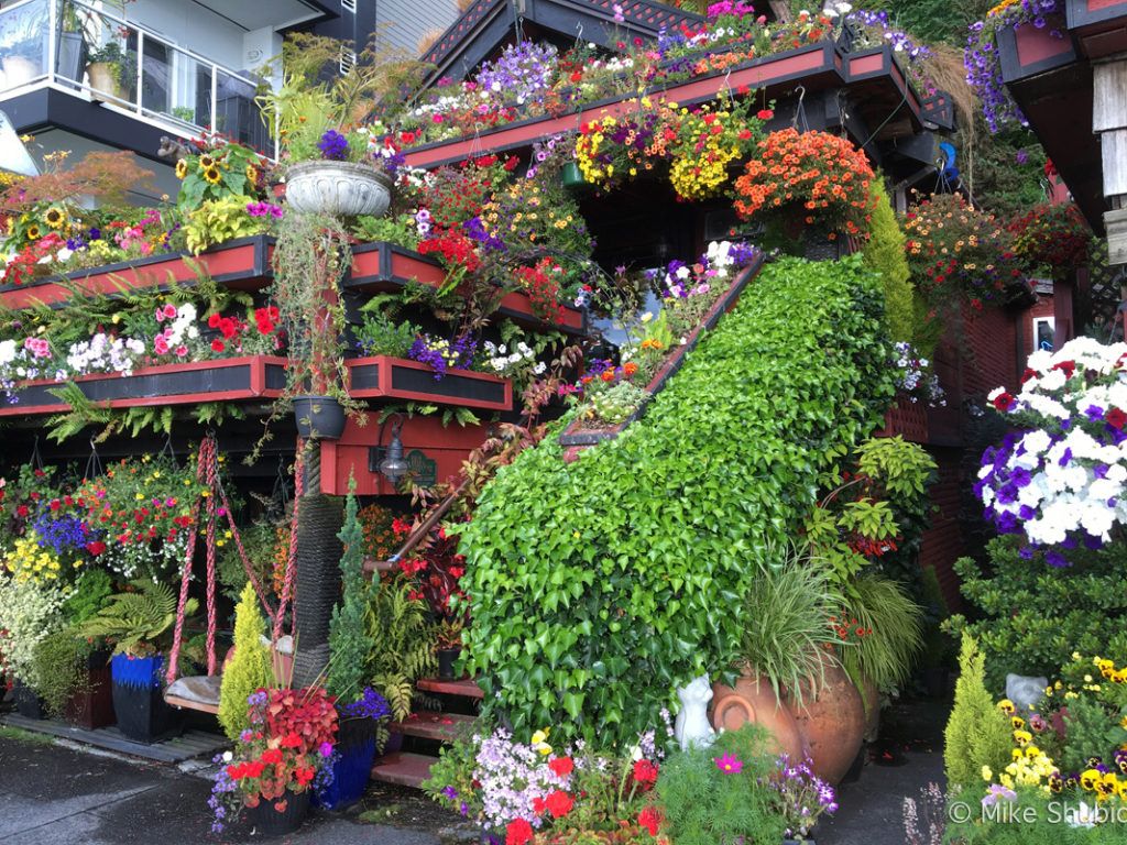 Flower House in West Seattle by MikesRoadTrip.com