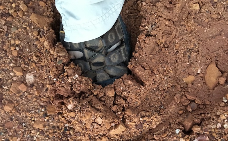 Foot in mud