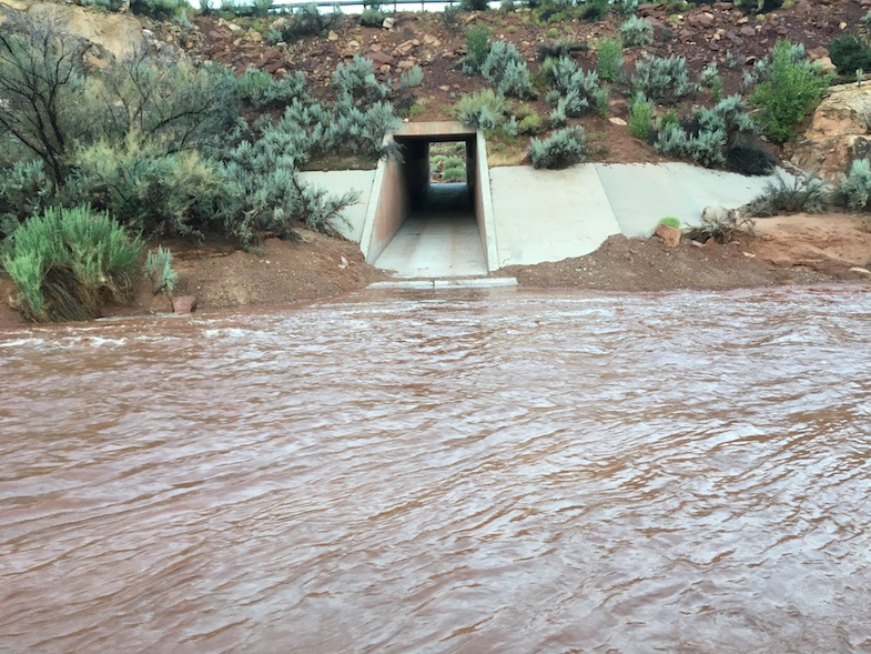 Flash flood in southern Utah