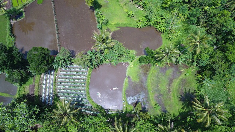 Desa Pentingsari in Indonesia by MikesRoadTrip.com