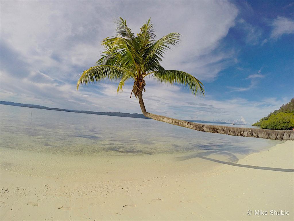 White sand beach with palm tree Raja Ampat by MikesRoadTrip.com