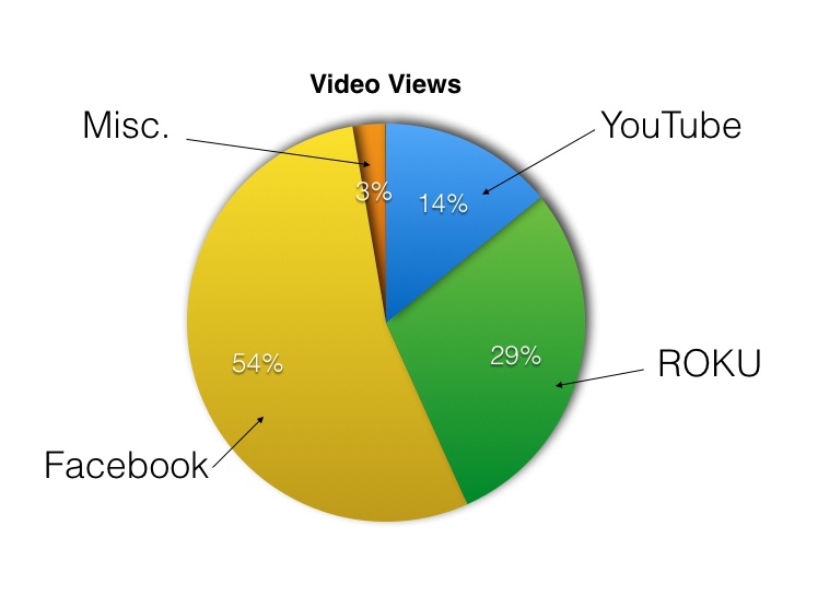 Vicksburg Video Pie Chart.001