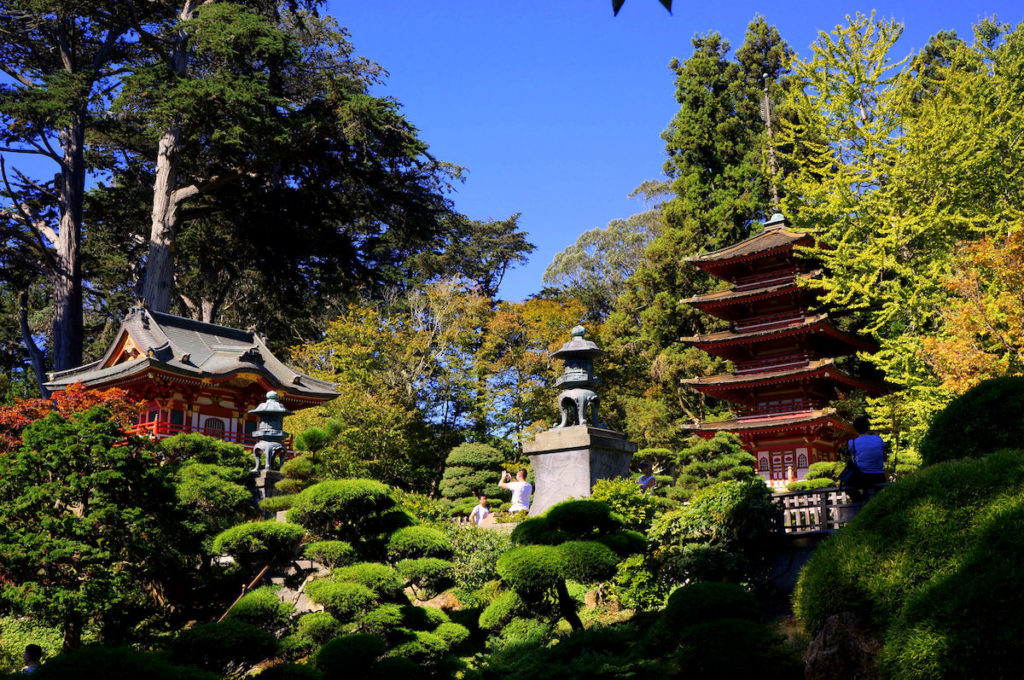 Japanese Tea Garden in San Francisco Photo by: Giselle Leung https://www.flickr.com/photos/100524131@N08/