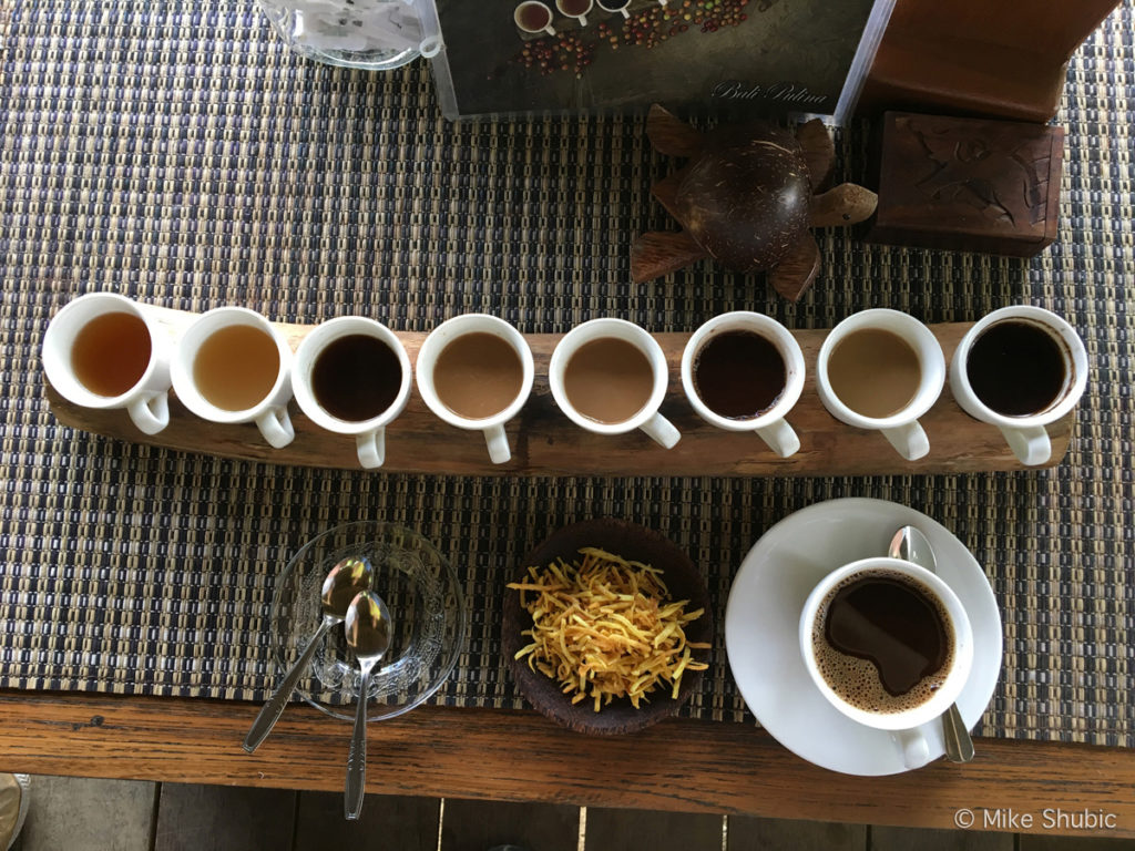 Civet Coffee tasting at Bali Pulina plantation in Ubud - Photo by MikesRoadTrip.com