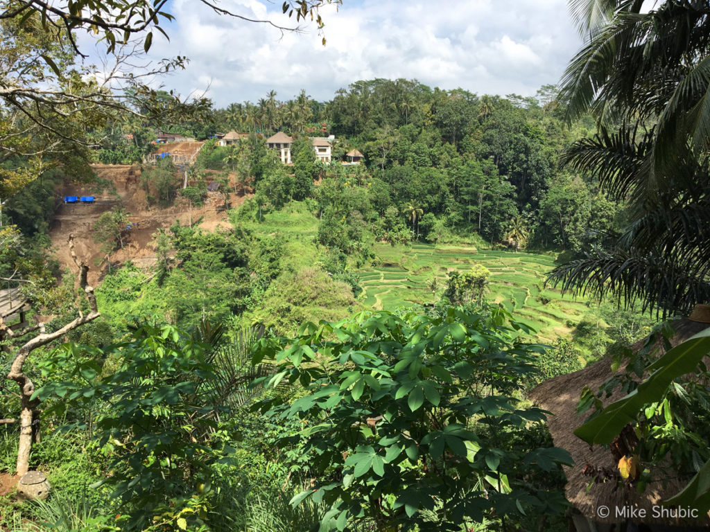 view from Bali Pulina coffee plantation by MikesRoadTrip.com