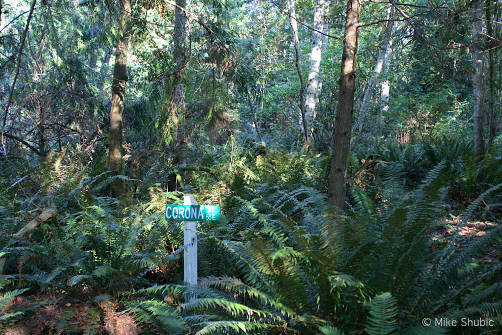 Stree sign in the forest by Mike Shubic of MikesRoadTrip.com