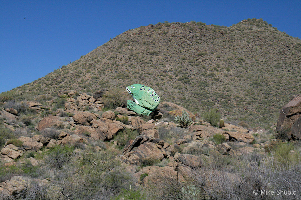 Giant frog boulder in Arizona - Photo by Mike Shubic of MikesRoadTrip.com