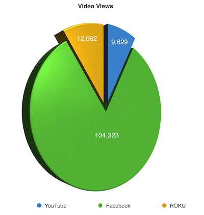 Janesville video views pie chart