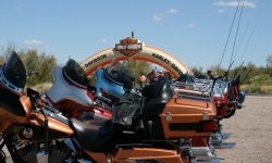 IMG_3884 IMG_3884