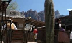 IMG_3901 IMG_3901