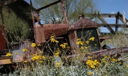 IMG_3908 IMG_3908