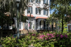 Savannah-IMG_8599