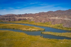 Bill-Williams-River-National-Wildlife-Refuge