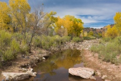 Carizo-Creek-in-Arizona-by-Mike-Shubic