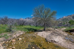 Catalina-State-Park