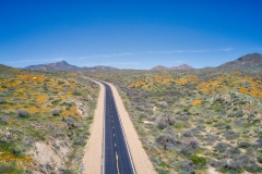 Road-to-Bartlett-Lake