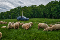 33-Mercedes-B-Class-Romania-photos-by-Mike-Shubic-and-Mihalea-Popa 33-Mercedes-B-Class-Romania-photos-by-Mike-Shubic-and-Mihalea-Popa