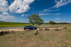 37-Mercedes-B-Class-Romania-photos-by-Mike-Shubic-and-Mihalea-Popa 37-Mercedes-B-Class-Romania-photos-by-Mike-Shubic-and-Mihalea-Popa