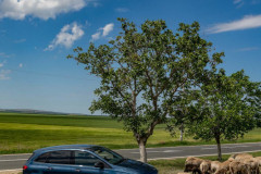 38-Mercedes-B-Class-Romania-photos-by-Mike-Shubic-and-Mihalea-Popa 38-Mercedes-B-Class-Romania-photos-by-Mike-Shubic-and-Mihalea-Popa