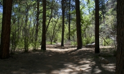 IMG_4914 IMG_4914