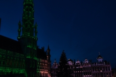 vertical-x-mas-show-at-Grand-square-in-Brussles