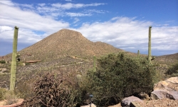 View from Blue Agave Bed and Breakfast