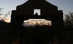 Courtyard at sunset at Blue Agave