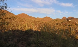 View from Blue Agave B&B