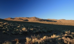 IMG_0731 IMG_0731