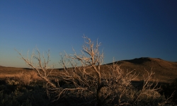 IMG_0739 IMG_0739