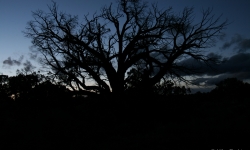 Sunset at Canyonlands