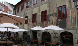IMG_0604 IMG_0604